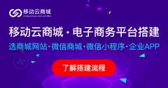 微分銷系統(tǒng)的店中店有哪些主要功能？